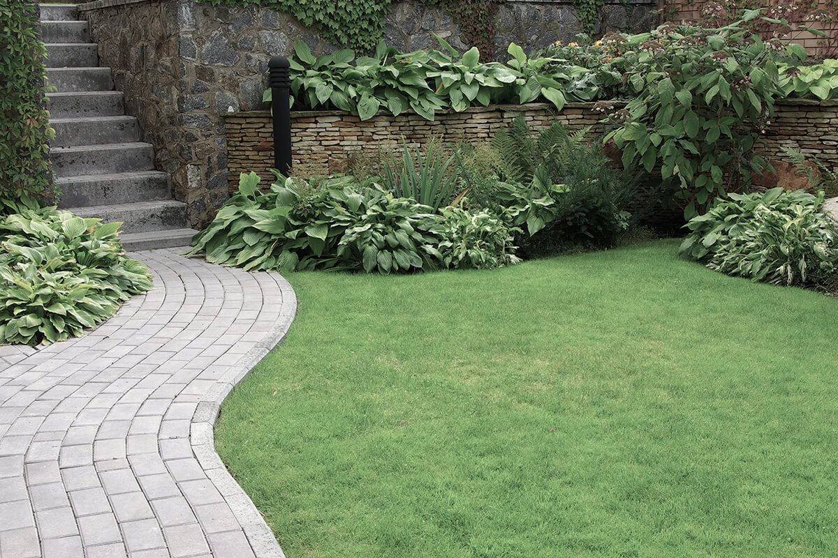 Welcome to Williams Landscaping